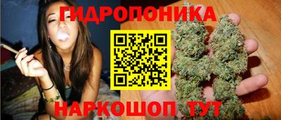 эйфоретик Будённовск