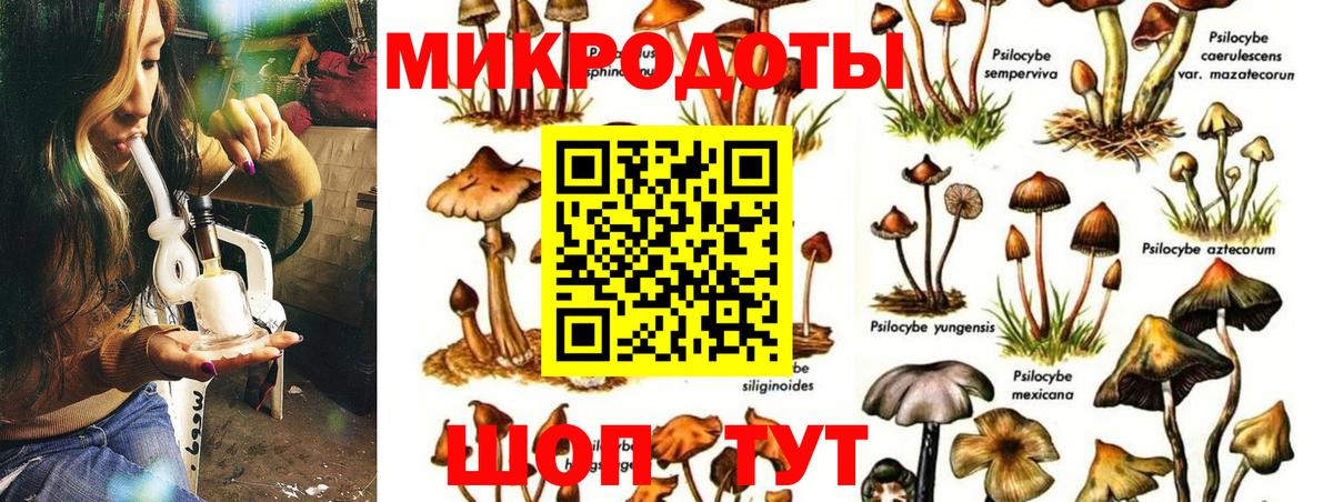 Галлюциногенные грибы мицелий Кстово